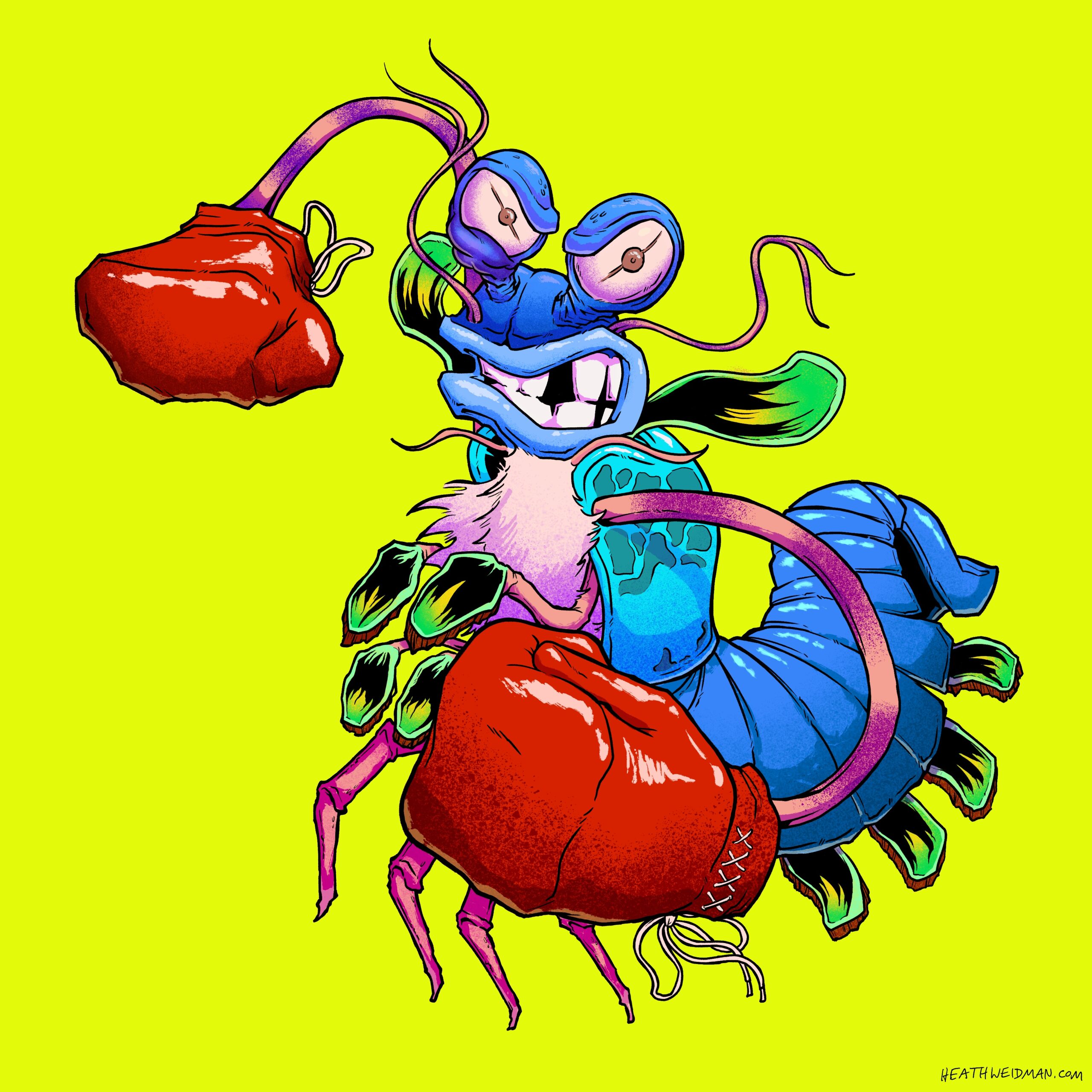 Mantis Shrimp