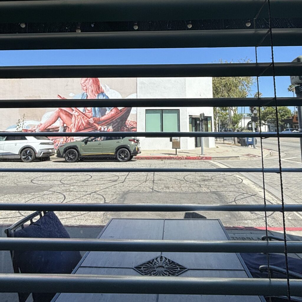 The view outside the coffee shop